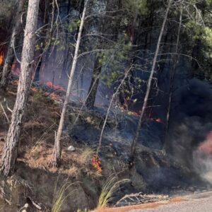 dalamanda arabada baslayan yangin ormana sicradi epZzm9Ip