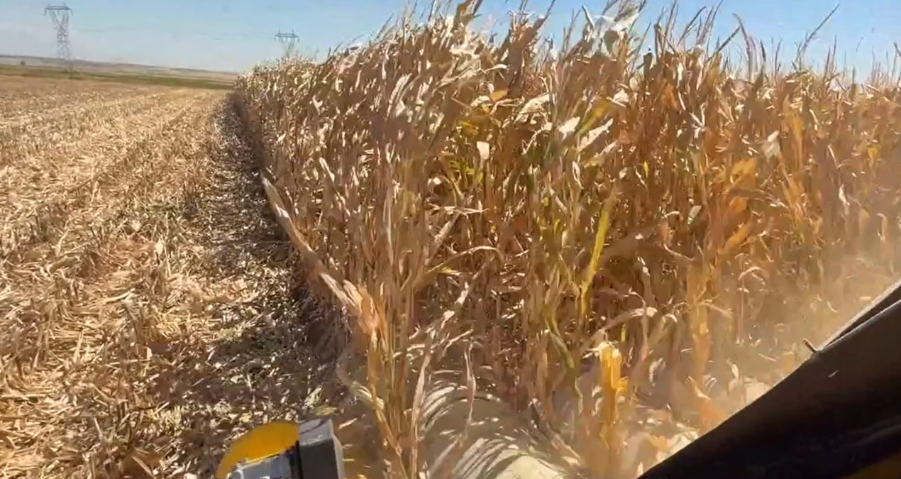 ureticiden erdogana biz bu ulkenin uvey evladi degiliz RKPPSNZy