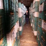 ortahisarda-yatak-limon-depolari-MsQ4rlSL