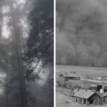 Bir felaketle basladi 90 yil once dikilen 220 milyon agac bir kitanin kaderini degistirdi rbrR5TtJ